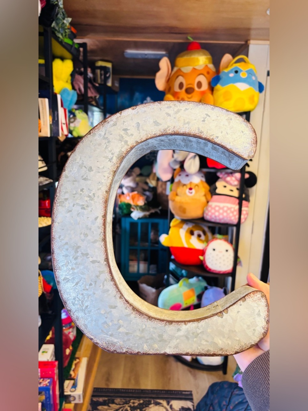 Decorative Metal Letter C Wall Accent in Silver